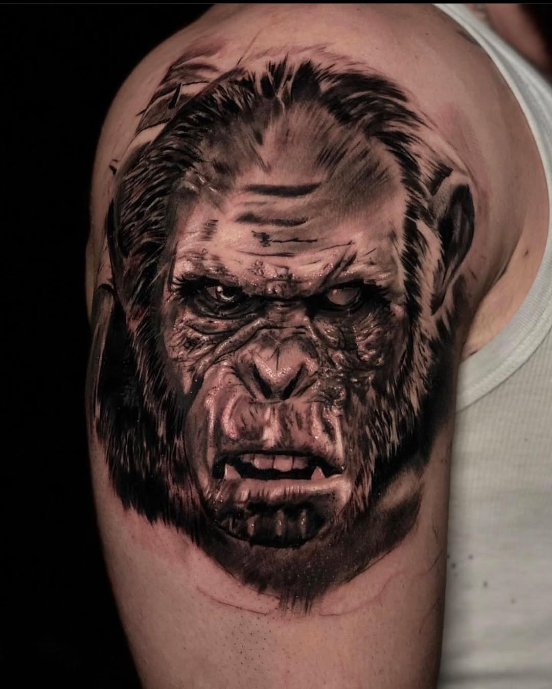 Tiger, Animal