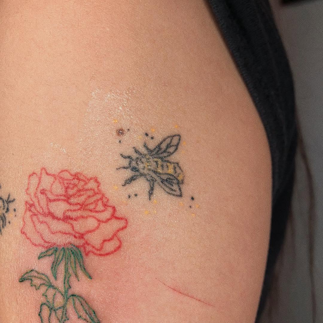 Flower, Rose