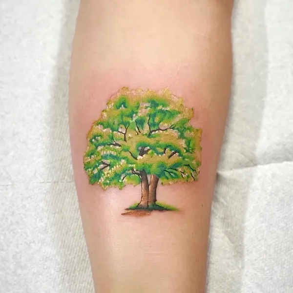 Nature