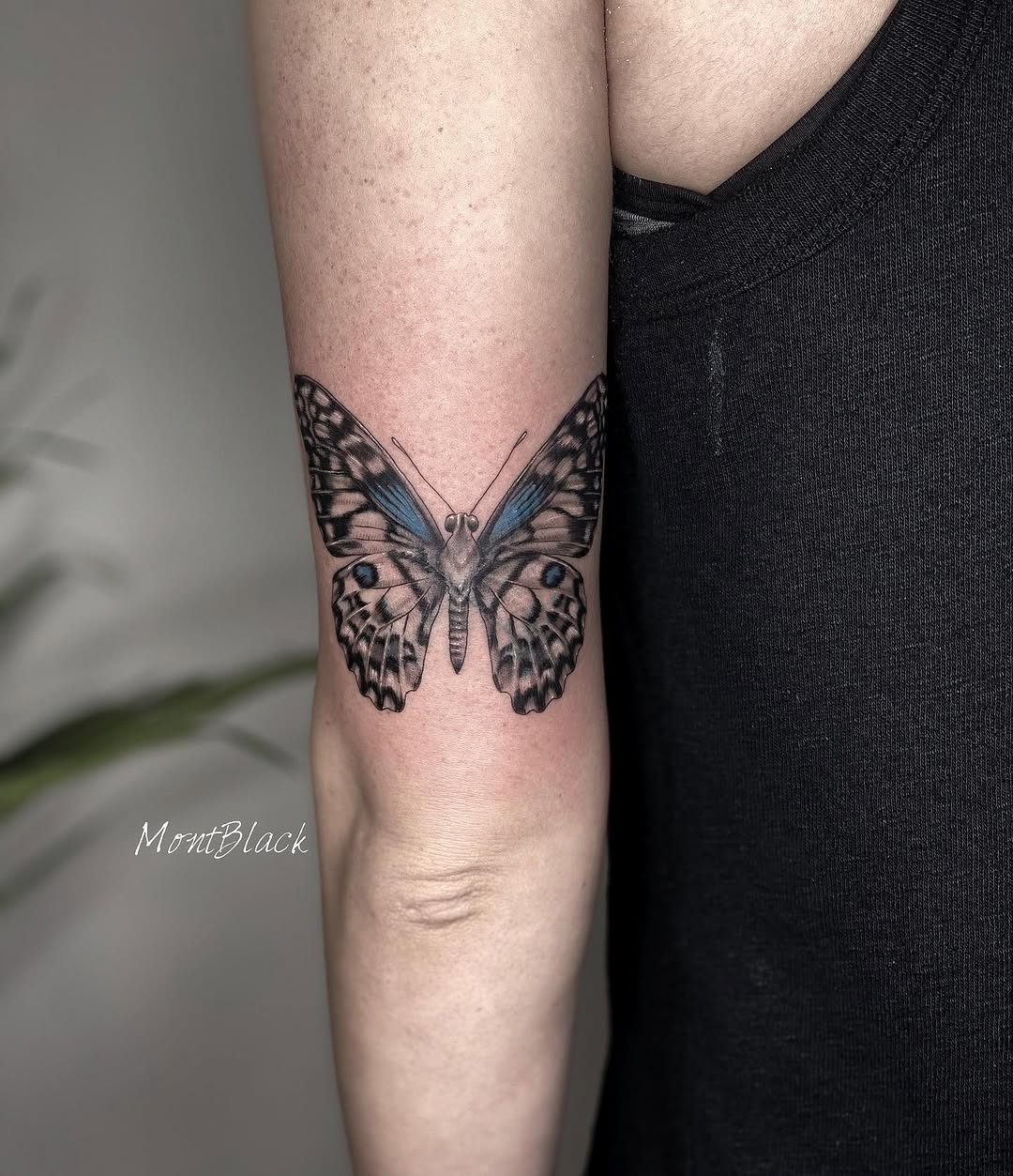 Animal, Nature