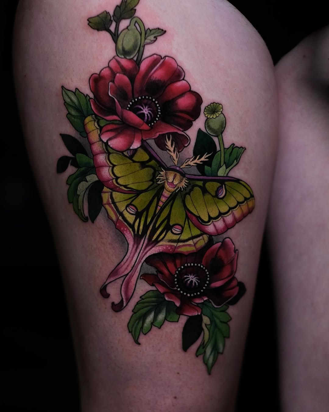 Nature, Animal, Flower