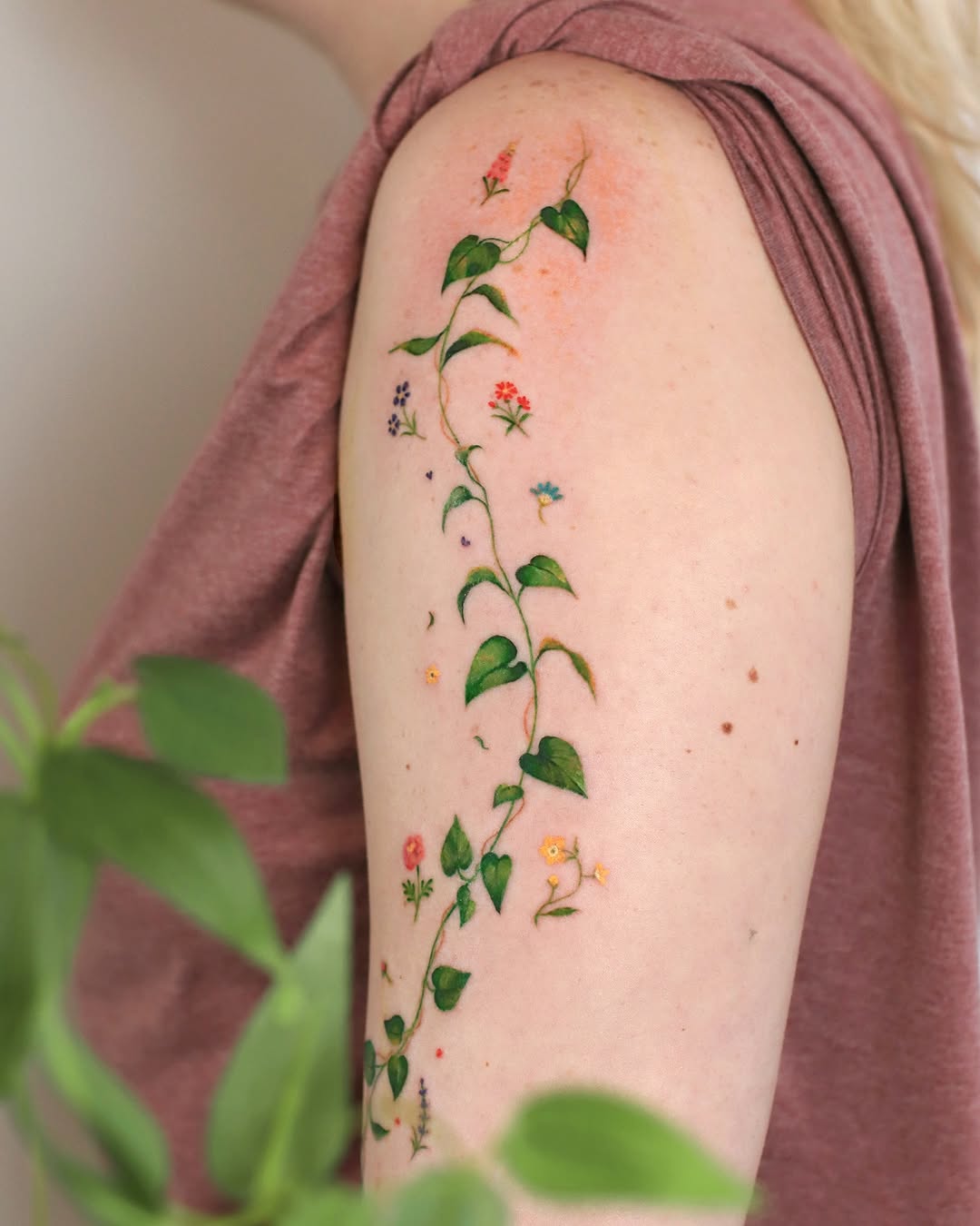 Flower, Rose