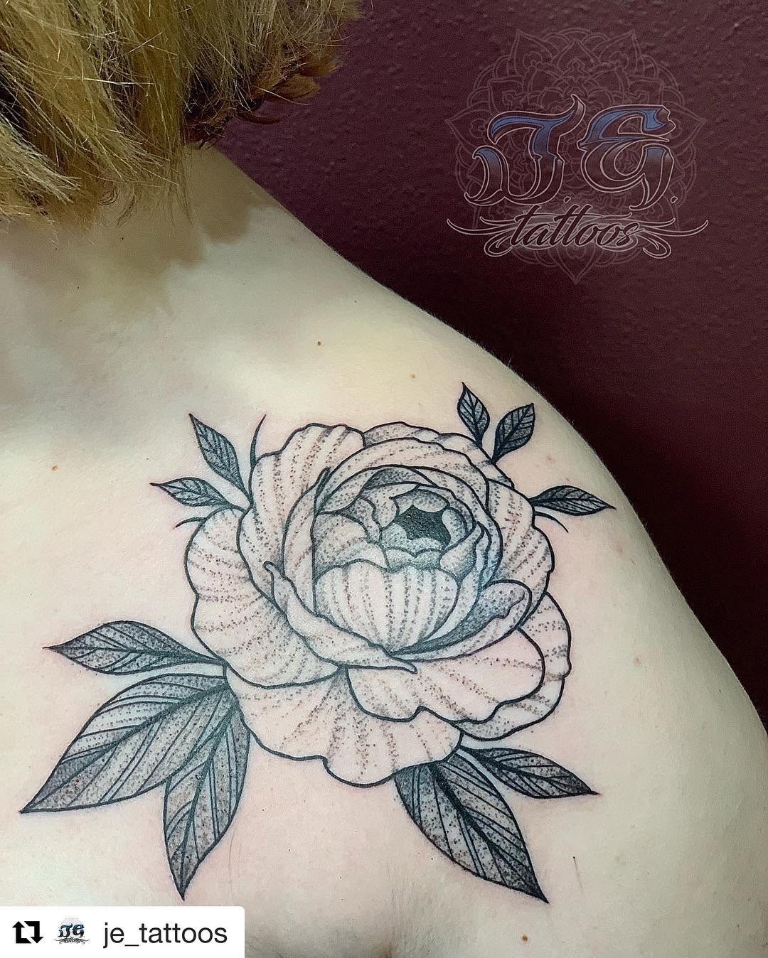 Flower, Rose, Nature