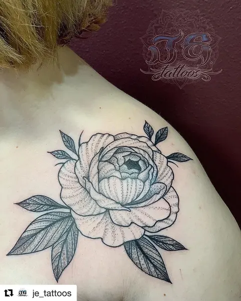 Flower, Rose, Nature