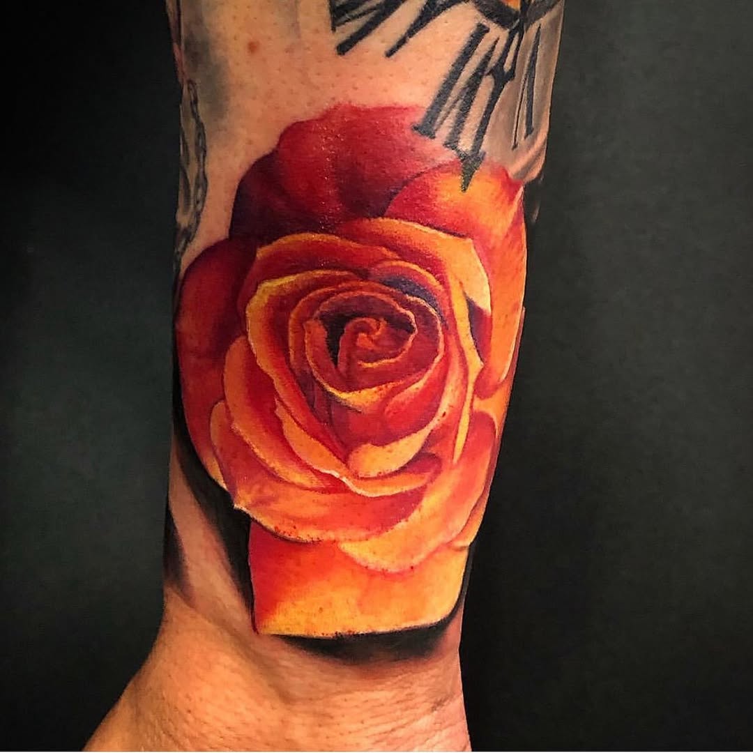 Flower, Rose