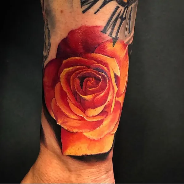 Flower, Rose