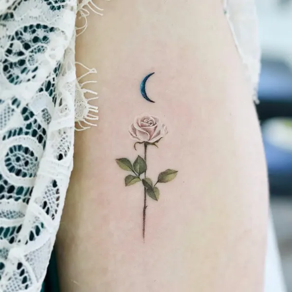 Flower, Rose