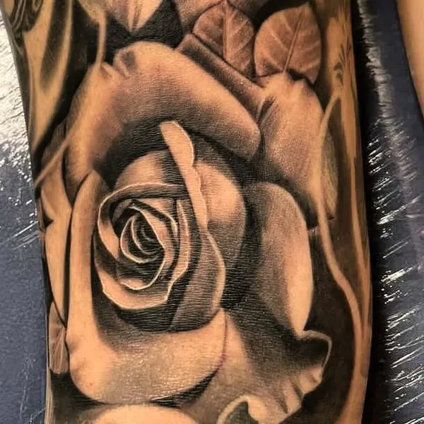 Flower, Rose