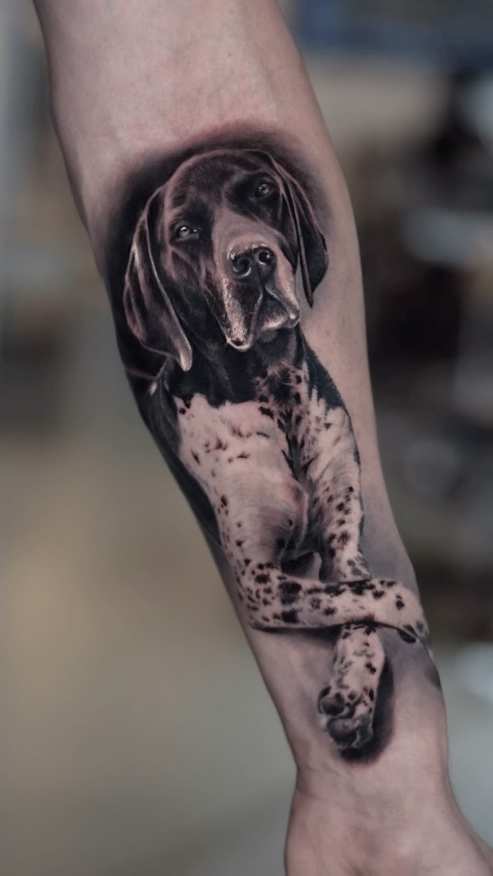 Animal