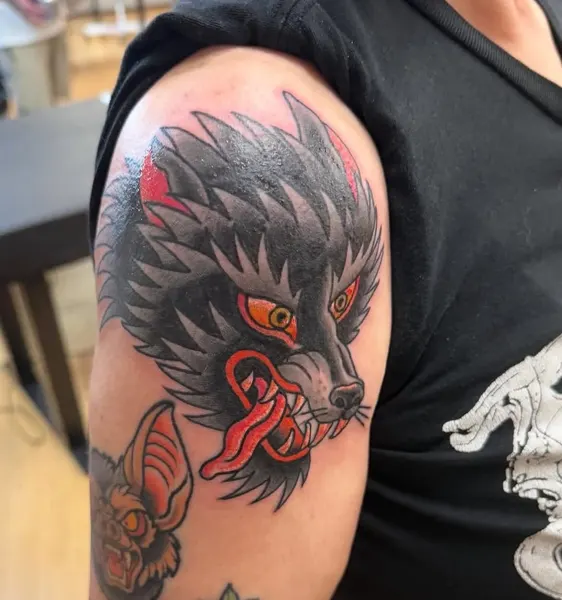 Animal, Tiger