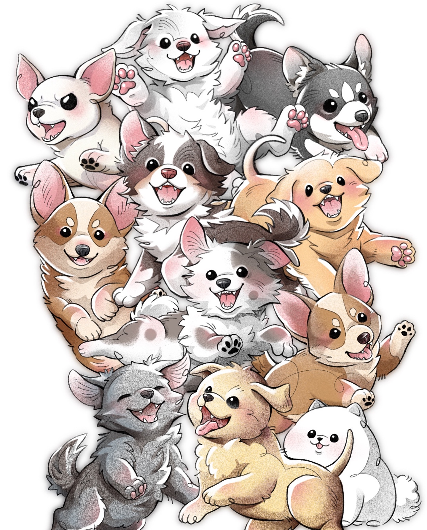 Animal
