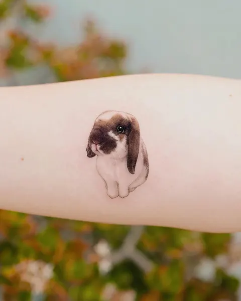 Animal