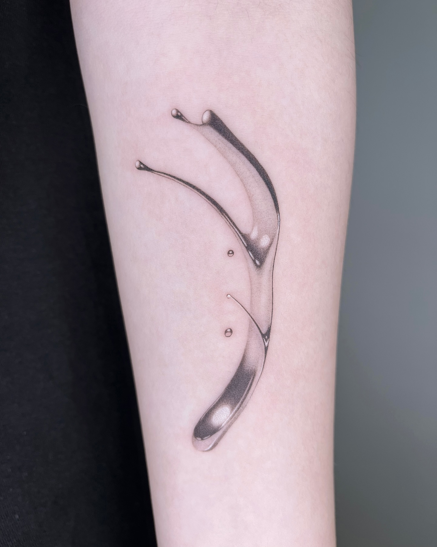 Flower, Rose, 튤립