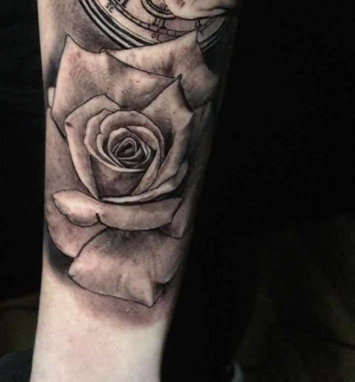 Flower, Rose