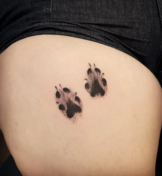 Animal