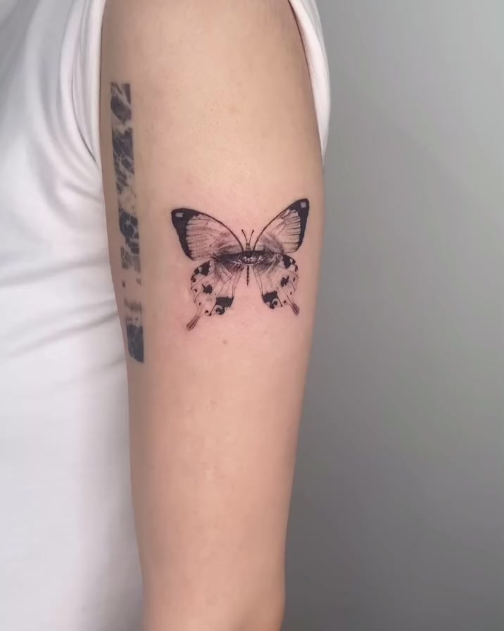 Animal, Nature