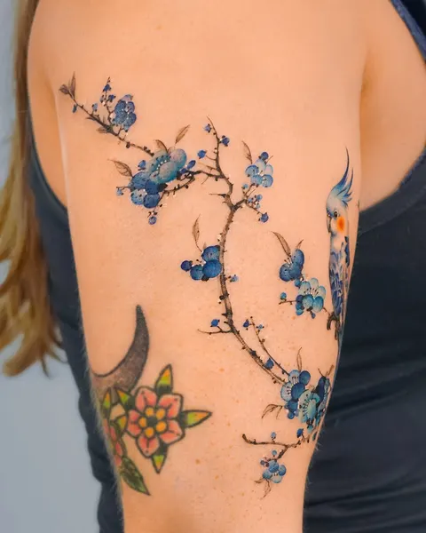 Animal, Nature, 앵무새