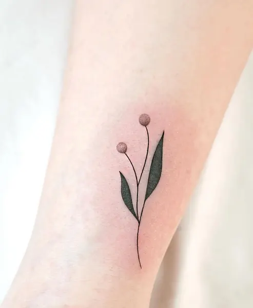 tatti_seoul