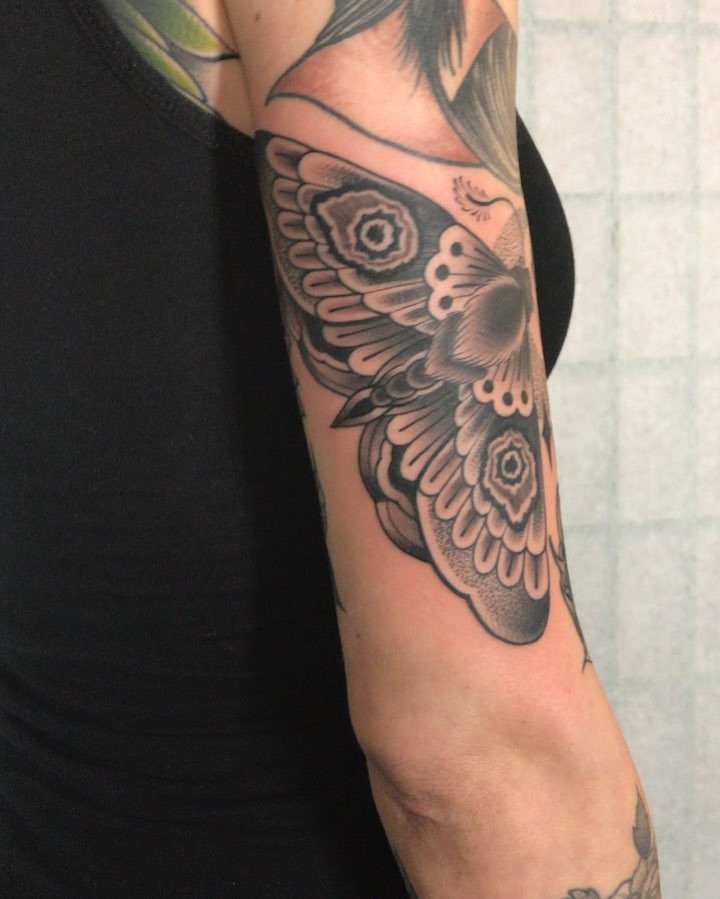 Animal, Nature, Flower
