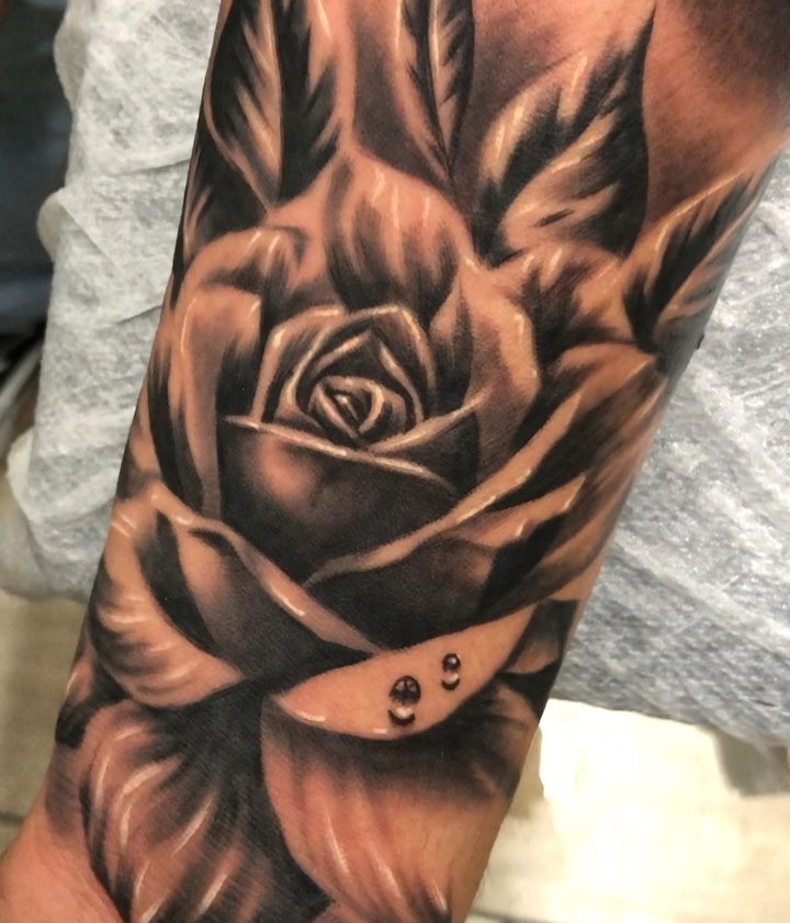 Flower, Rose