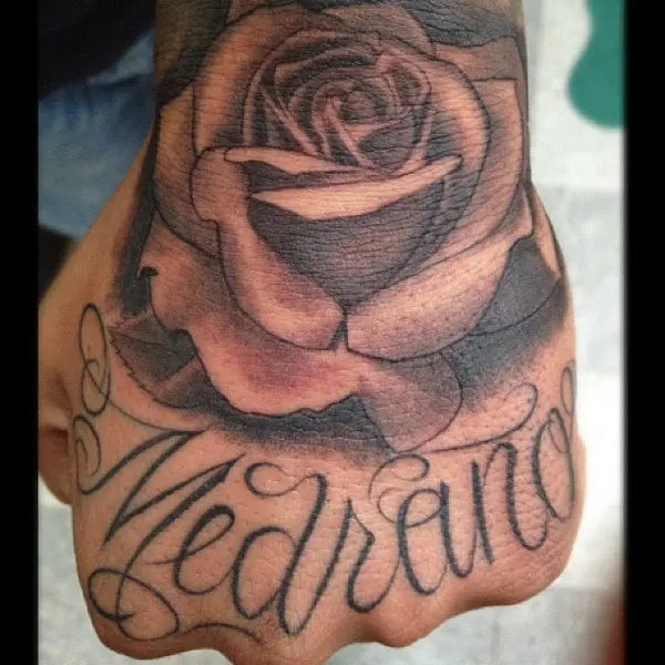 Flower, Rose