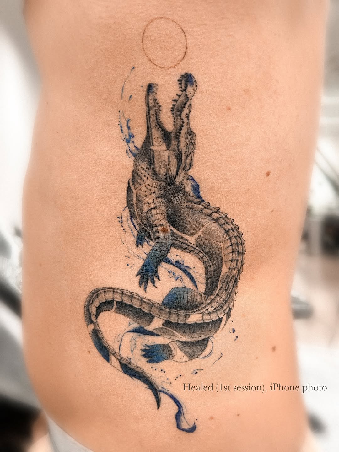 Dragon, 악어