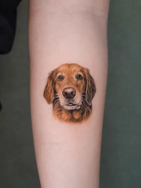 Animal