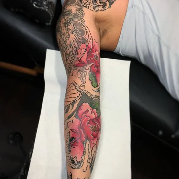 Dragon, Animal