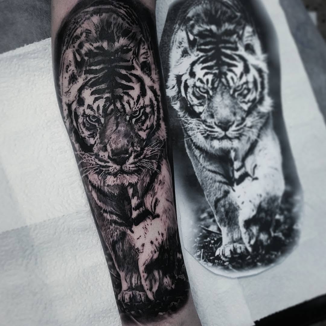 Tiger