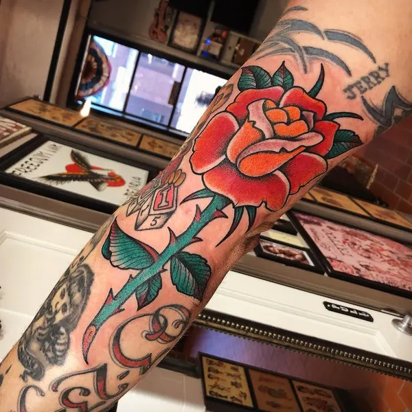 Flower, Rose
