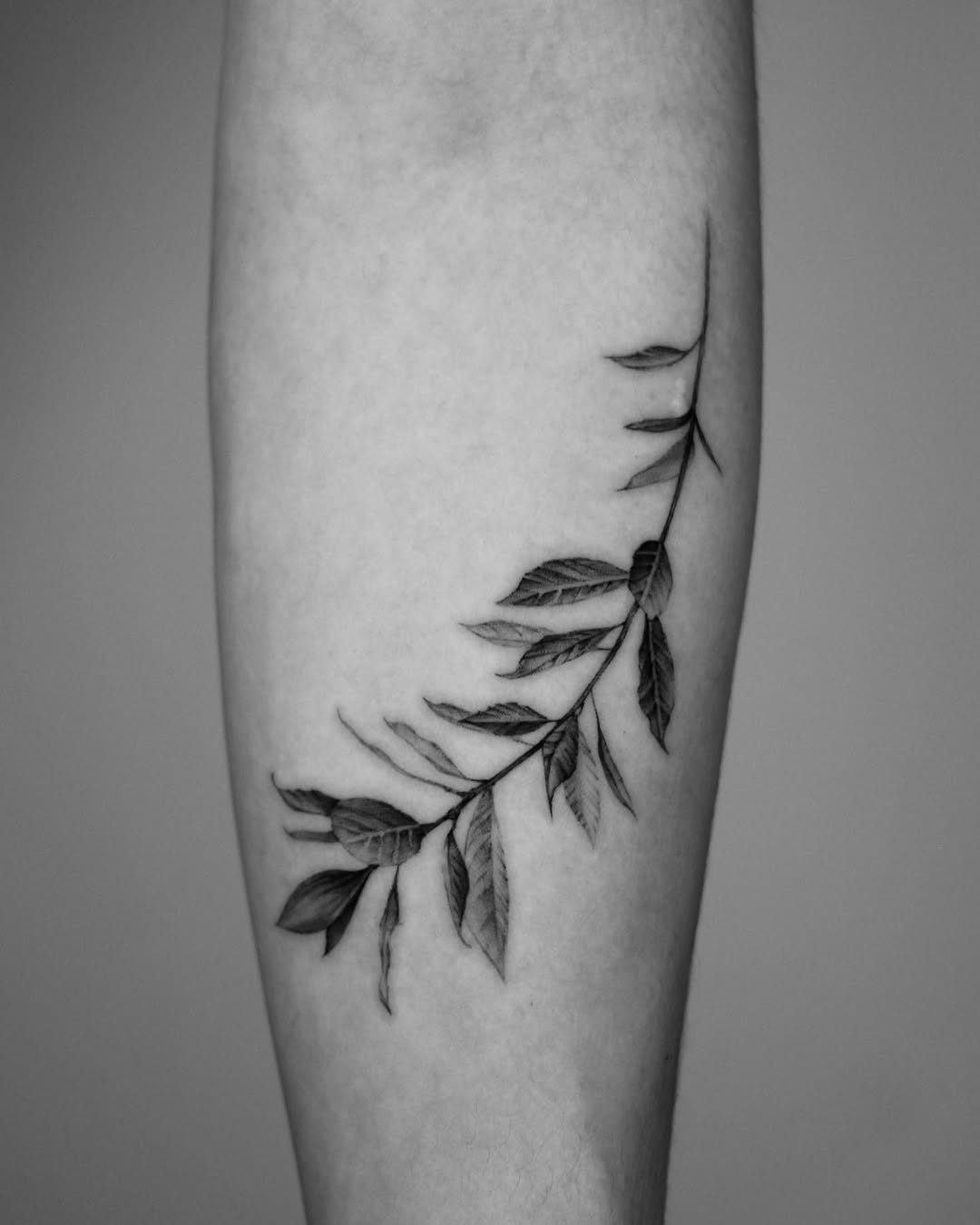 40.tatt