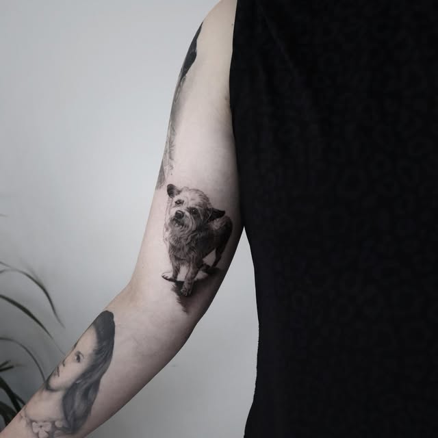 kate_sv_art