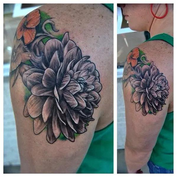 Flower, Rose