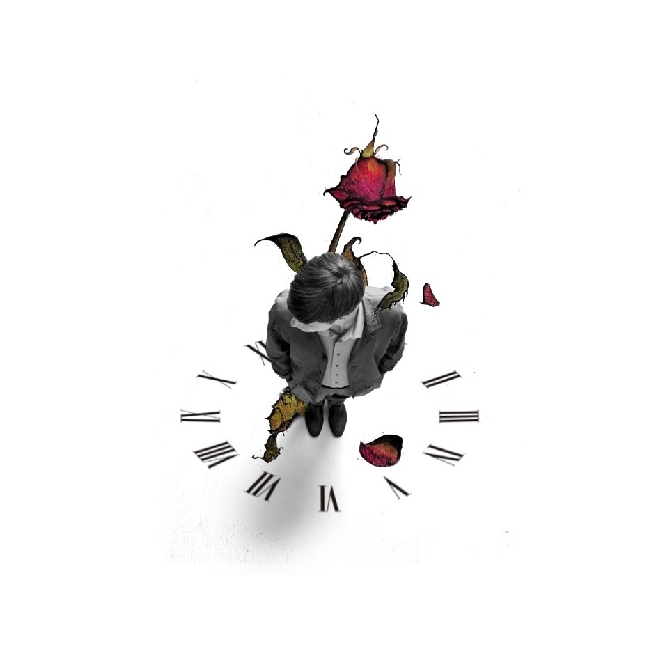 Flower, Nature, Rose