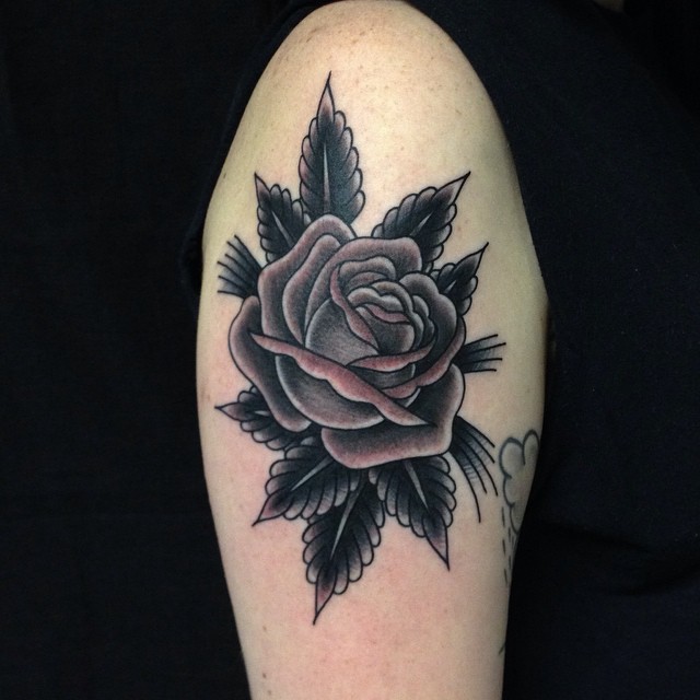 Flower, Rose, Nature