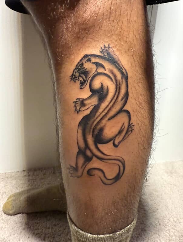 Animal, 거미
