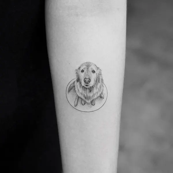 Animal