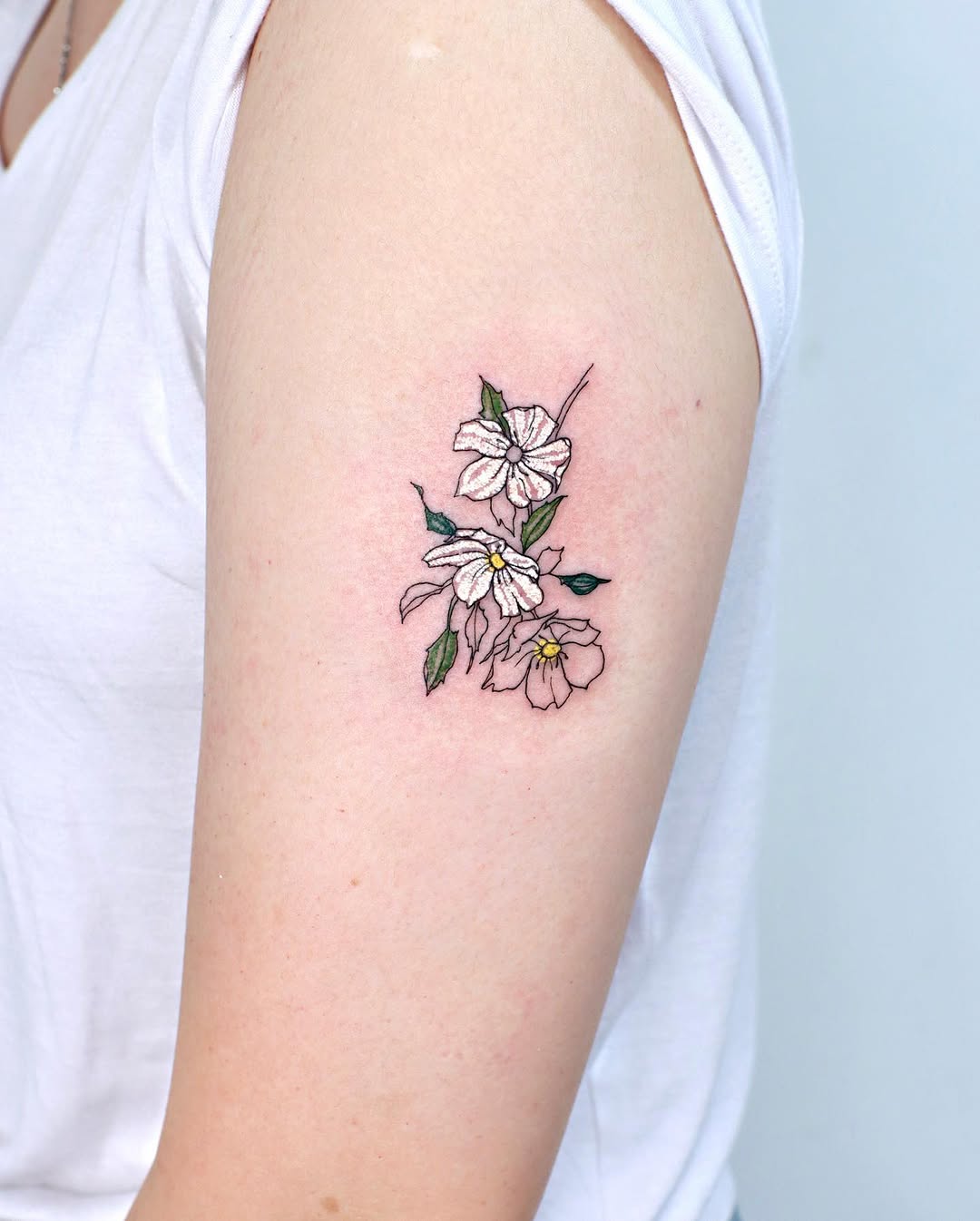 Flower, Rose