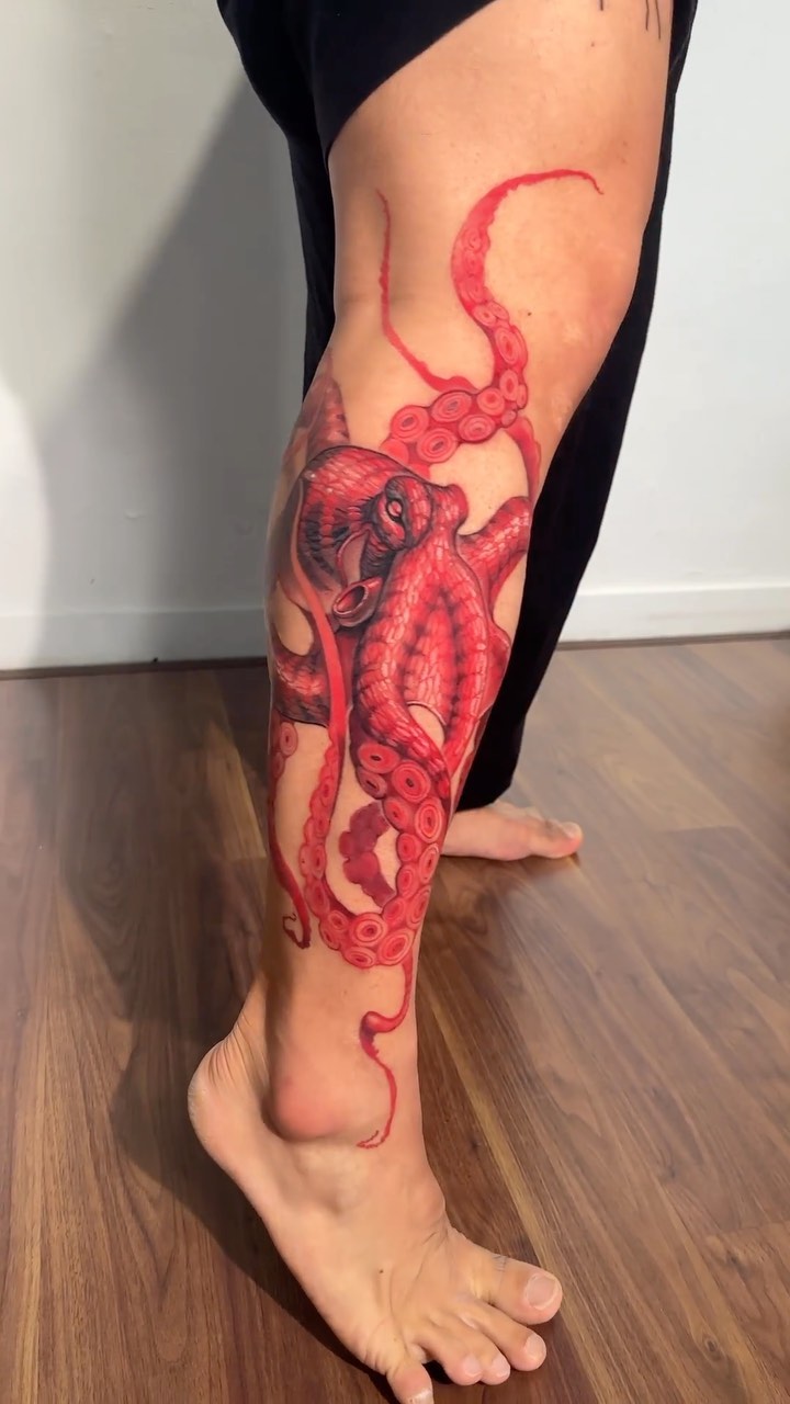 Animal, 문어