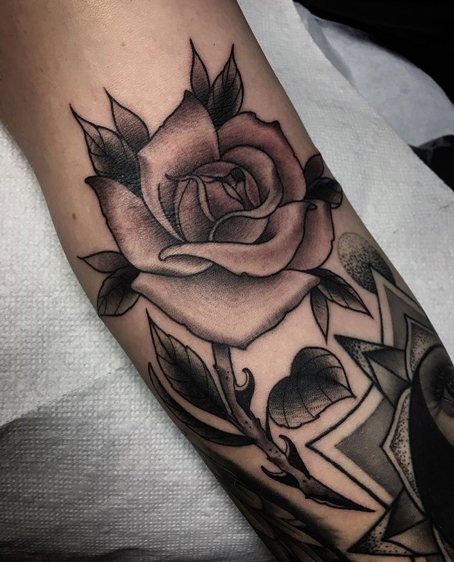 Flower, Rose