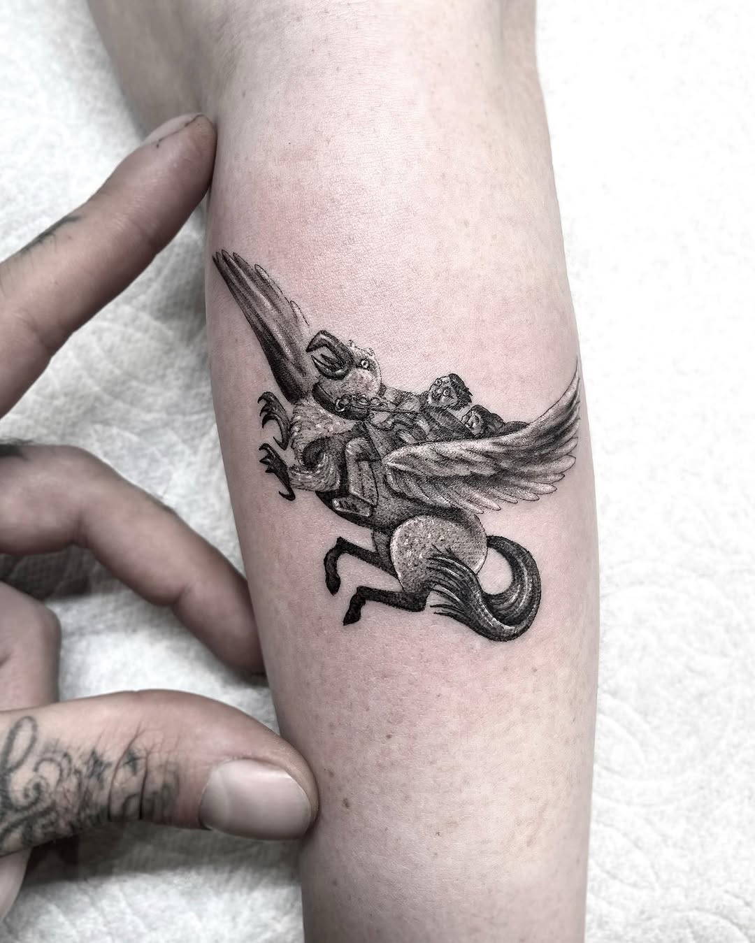 romeolacoste
