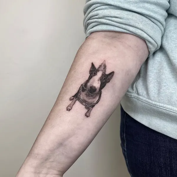 Animal