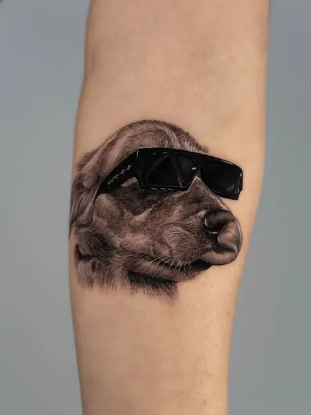Animal, 강아지