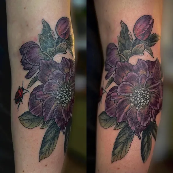 Flower, Rose