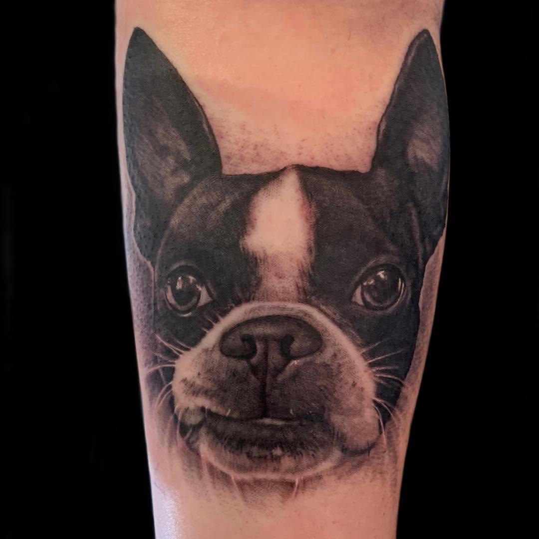 Animal