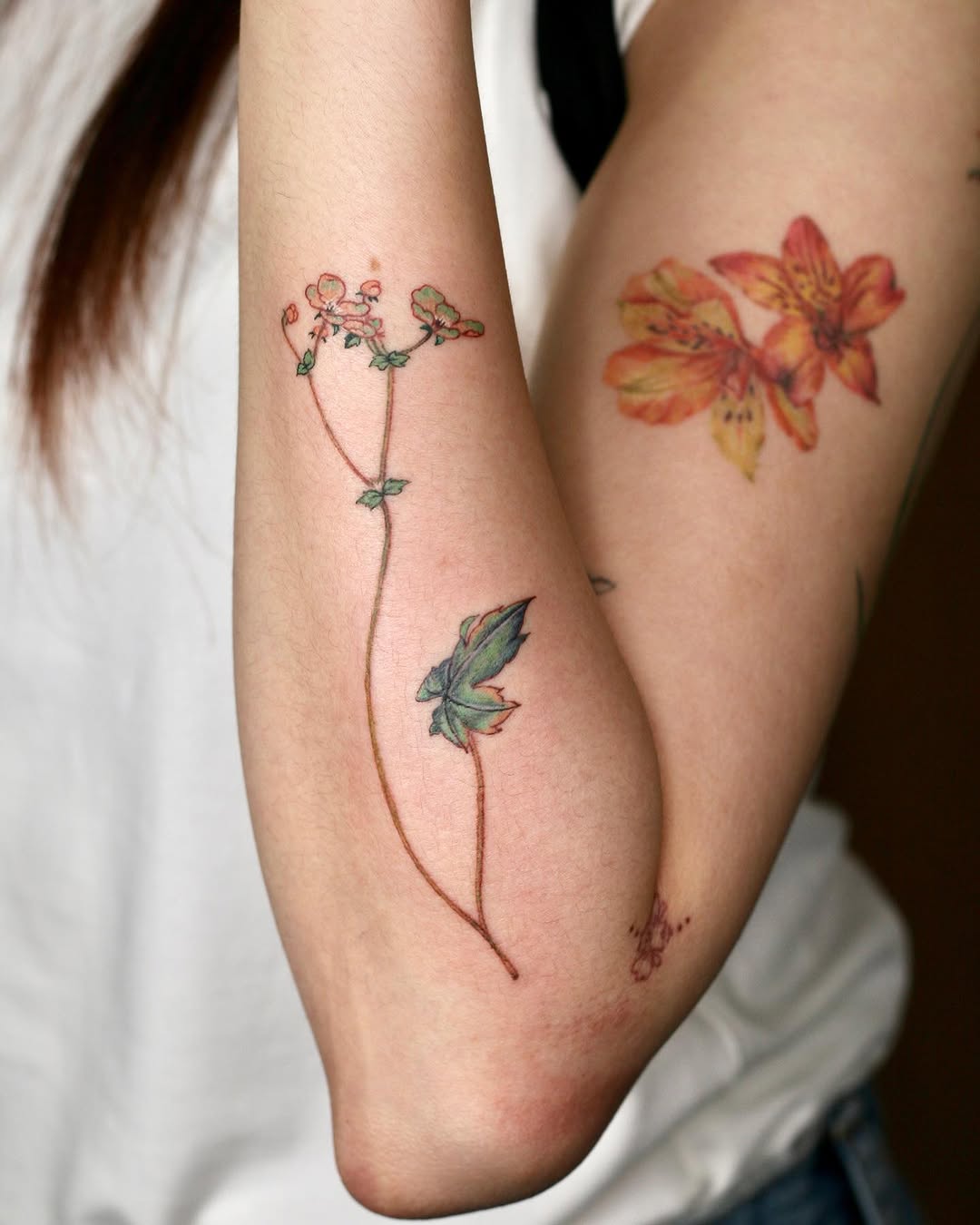 Rose, Flower