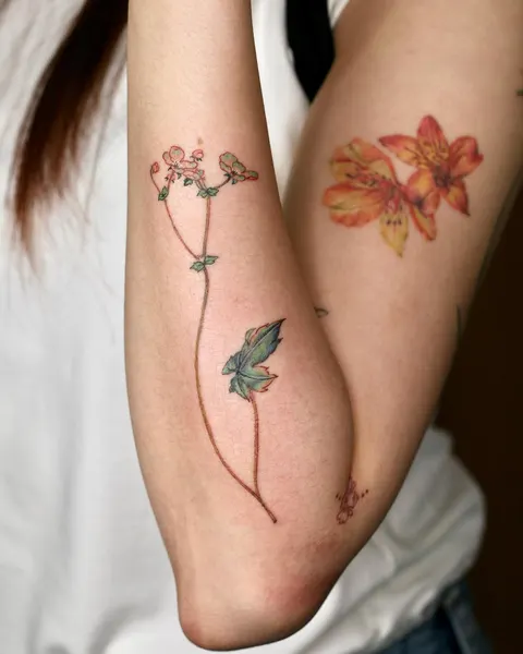 Rose, Flower