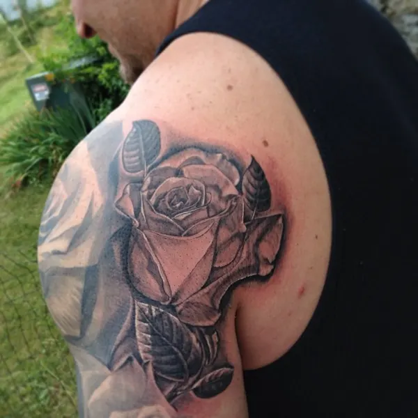Flower, Rose, Nature