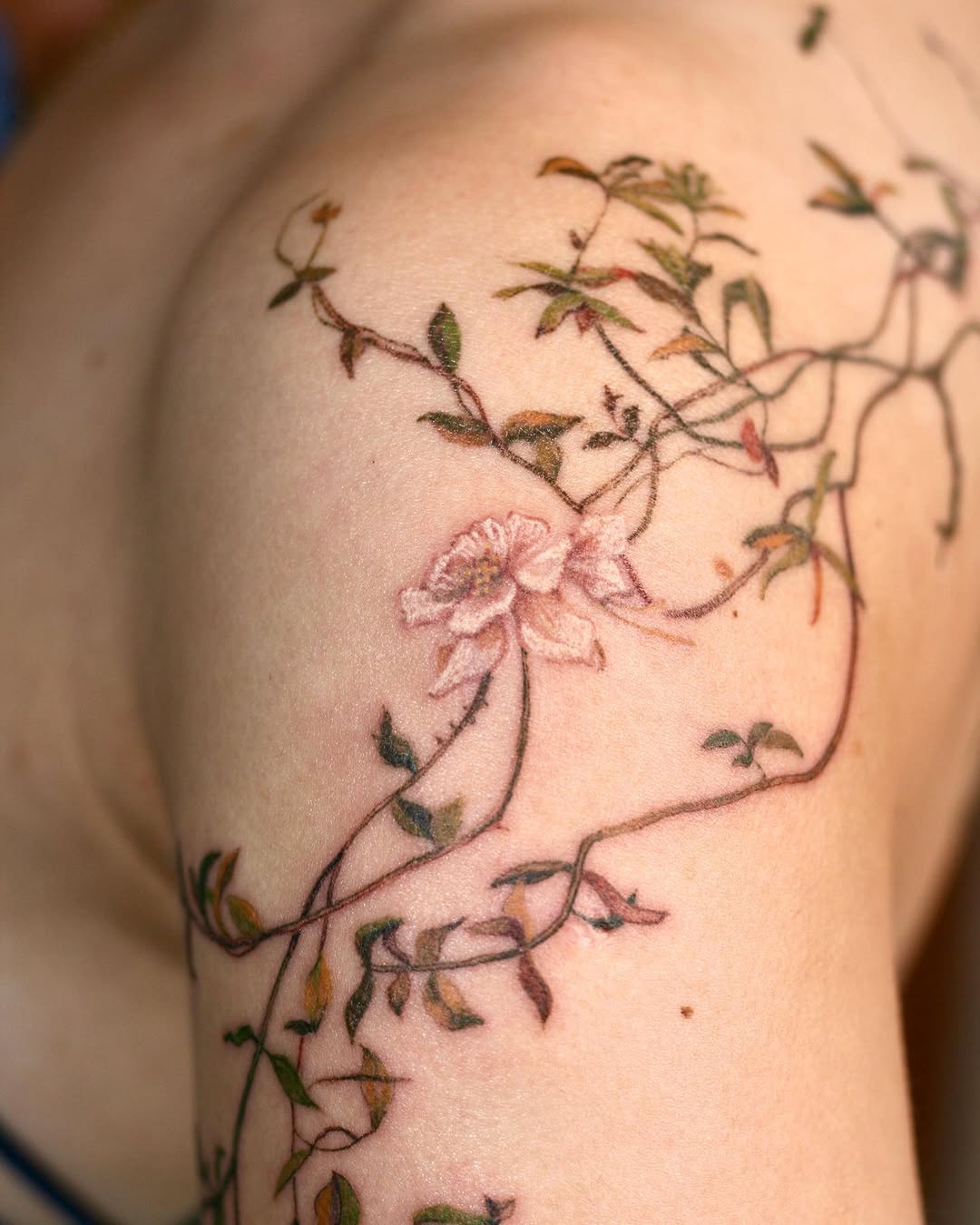 Flower, Rose