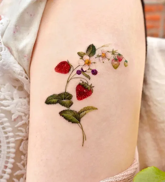 Flower, Rose